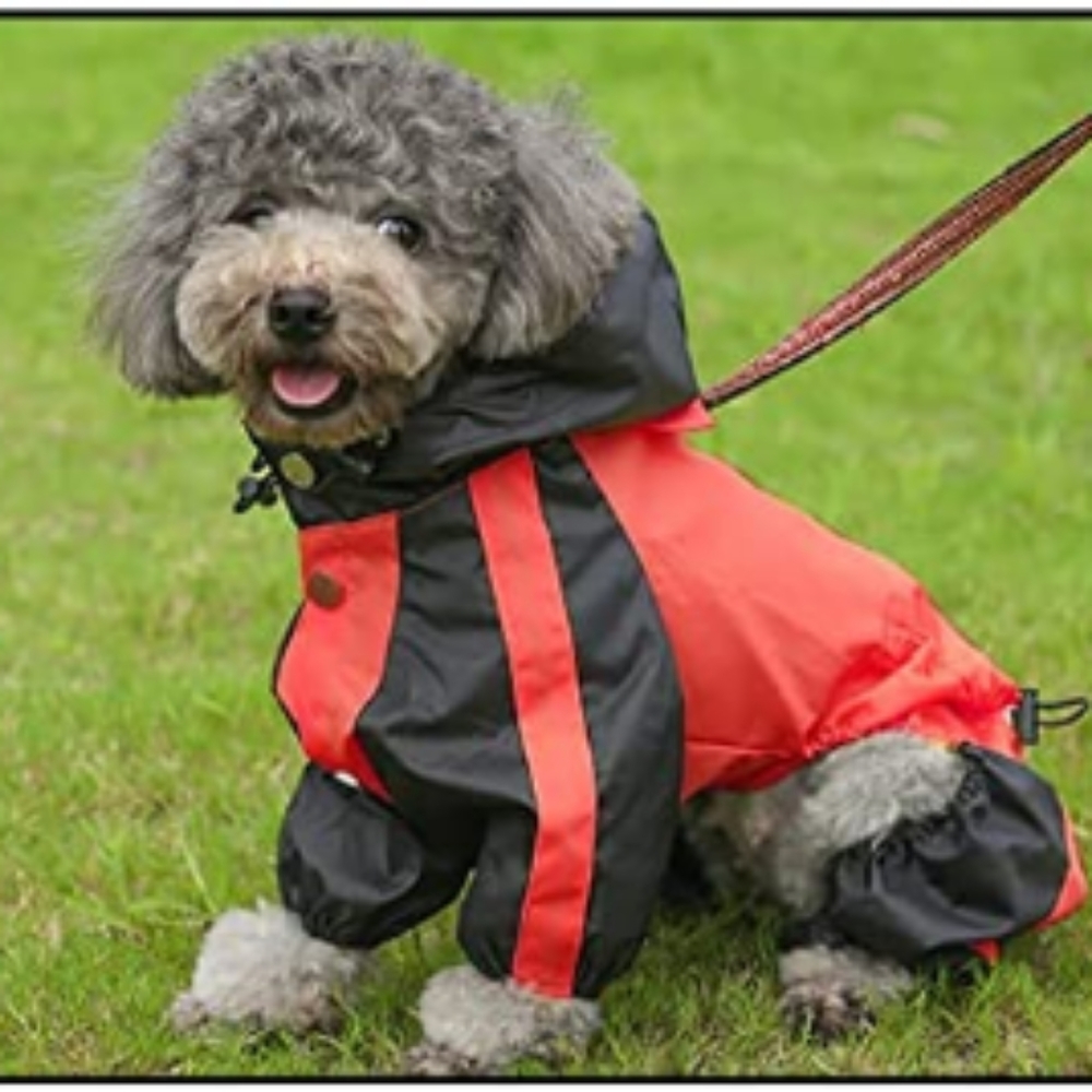Doggy Raincoat